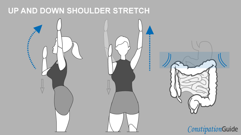 A person doing up-and-down shoulder stretches with an intestines diagram.