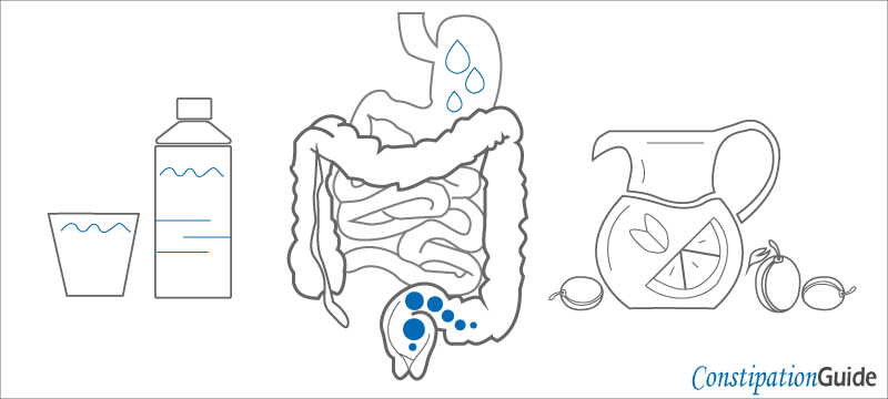 The illustration depicts intestines alongside a bottle of water and fruit juice, indicating the importance of hydration.