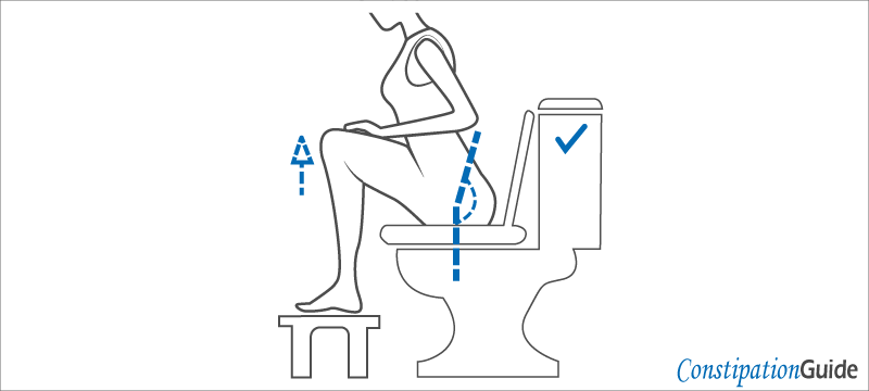 girl in the semi-squat way on the toilet bowl image