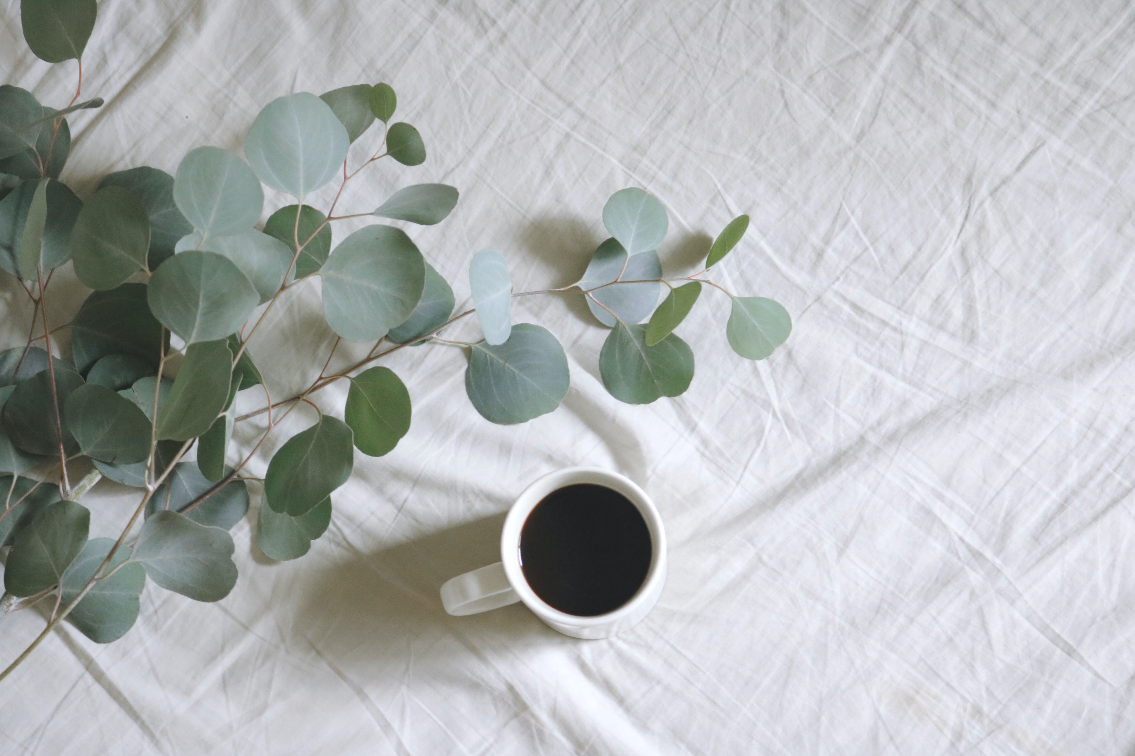 One cup of plum juice is standing on a white cloth with green plants suggesting what is necessary for defecation.